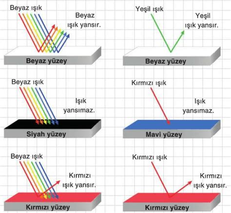 fotosentezde ışığın soğurulması